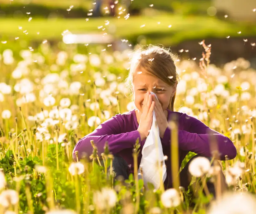 Allergia: soluzioni per il benessere