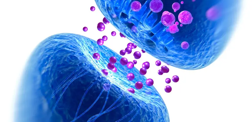 Neurotrasmettitore GABA