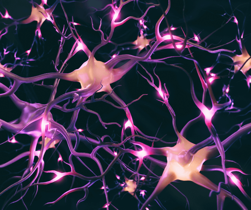 GABA Naturale e Gestione dello Stress