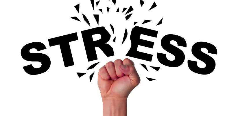 stress