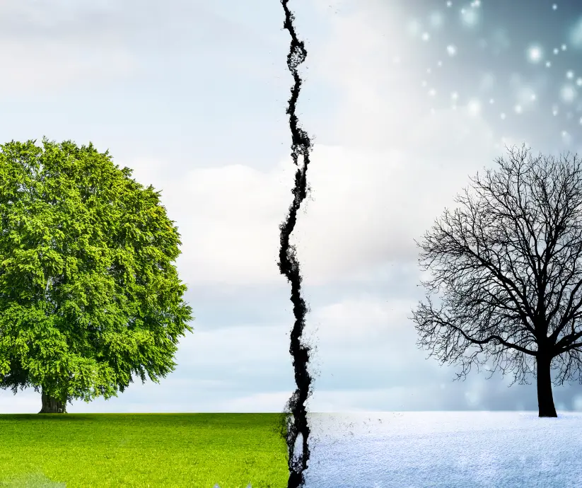 Immunometabolismo stagionale: come il cambio di stagione influenza metabolismo, e come i nutraceutici possono modularlo